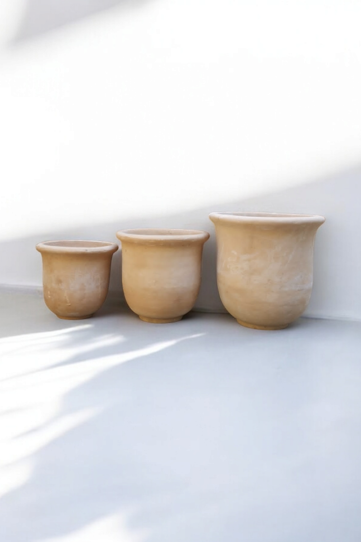 Campana