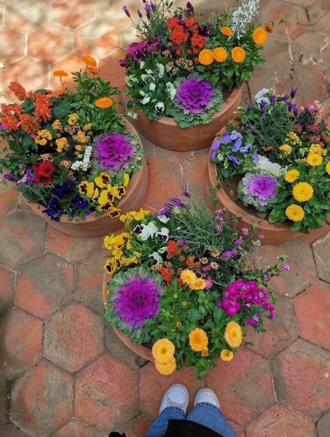 Jardín floral