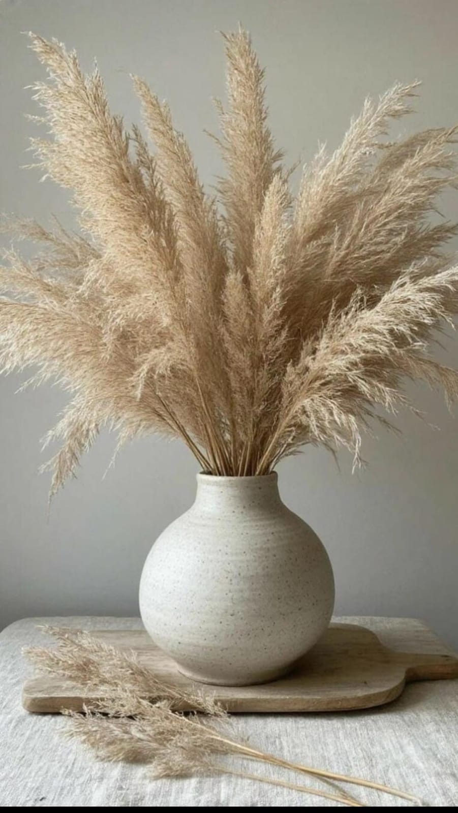 Pampas