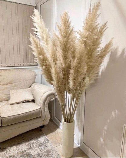 Pampas