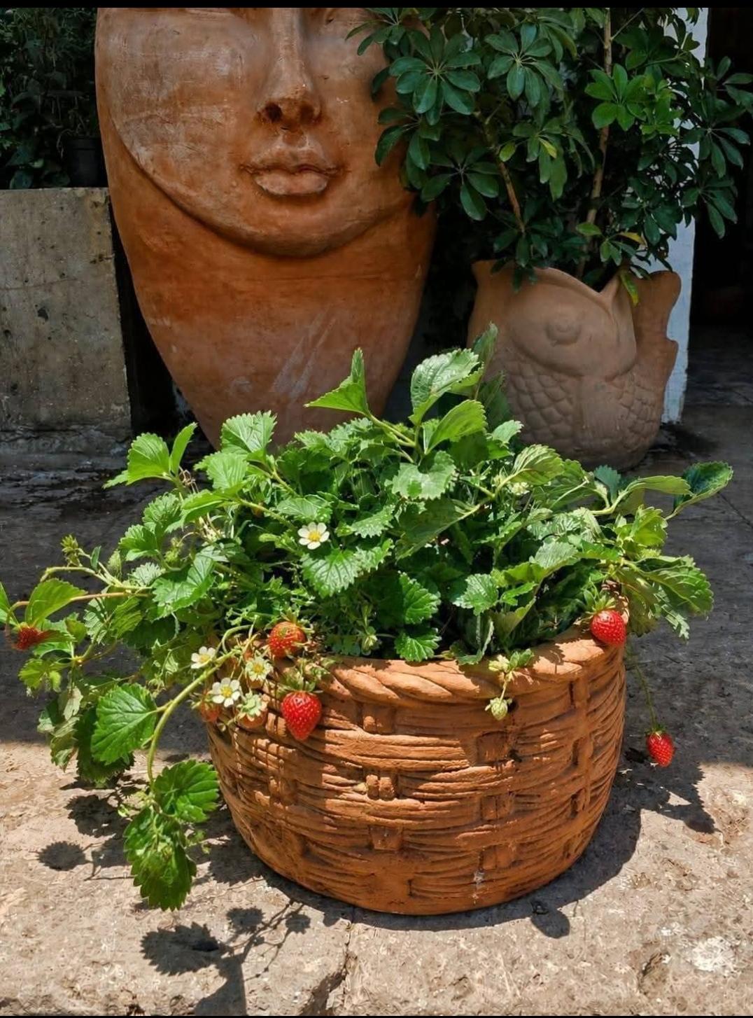 Canasta de fresas