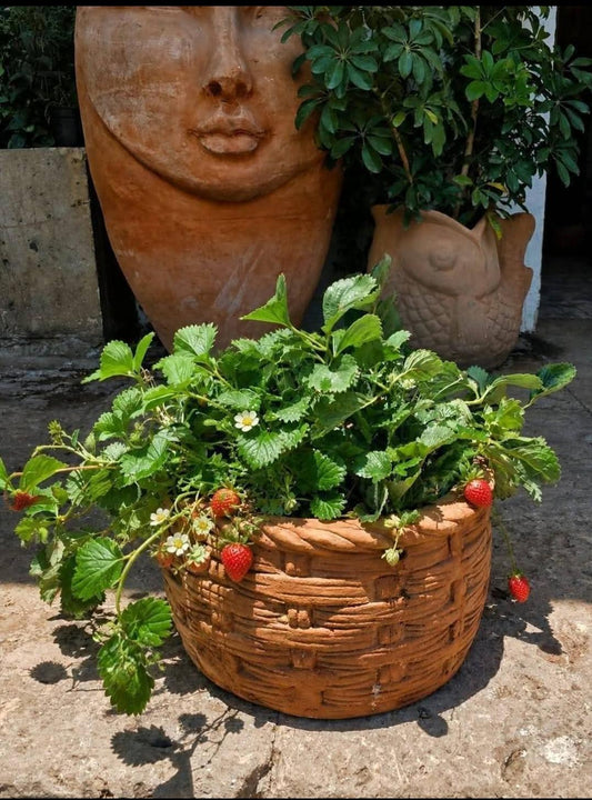 Canasta de fresas