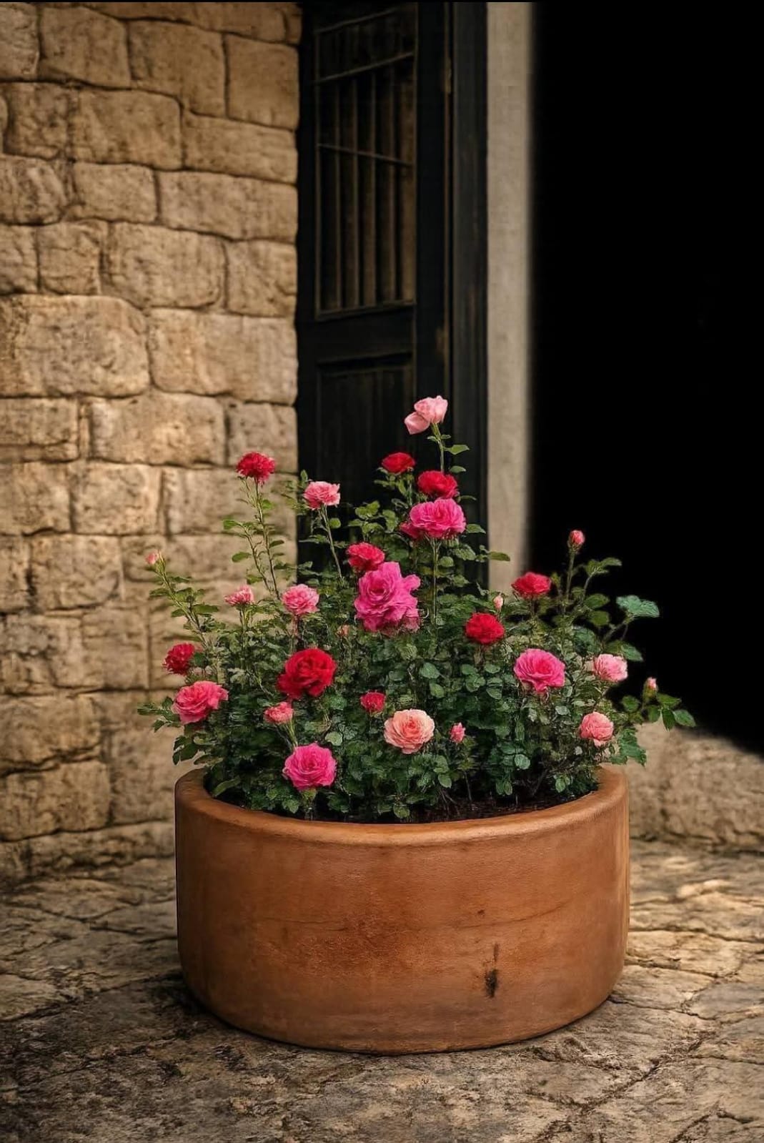 Jardín de rosas