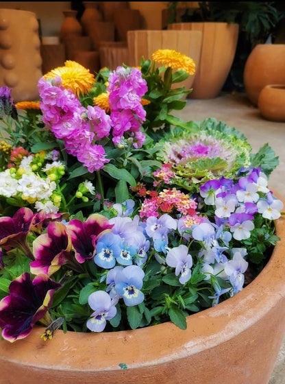 Jardín floral